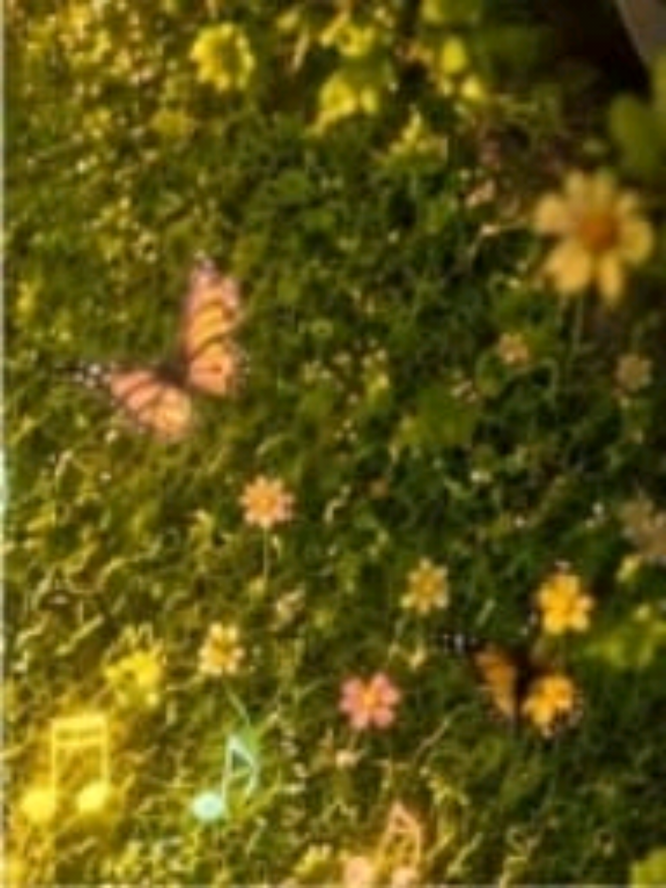 @νιяα.мυѕιᴄᥫ᭡