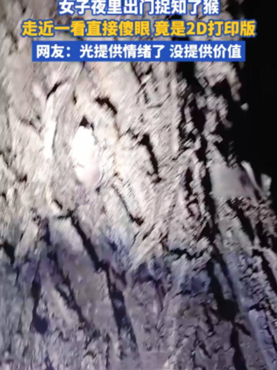 @中国蓝国际