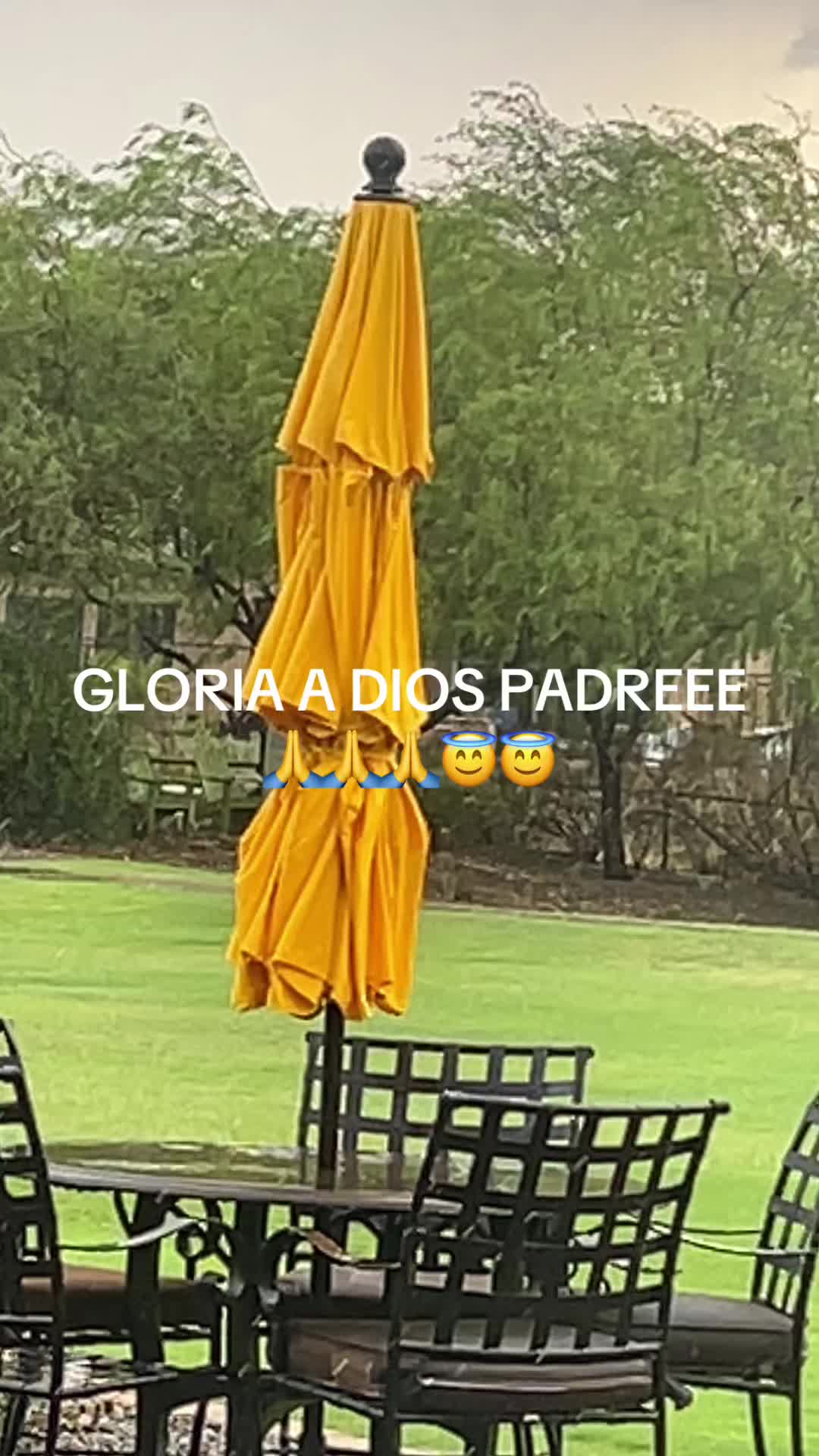 @olivia