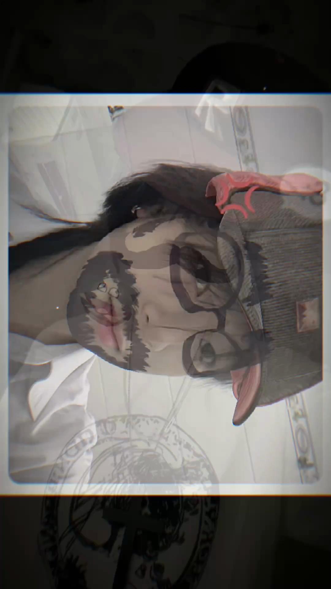 @🧿 Aokami 🧿