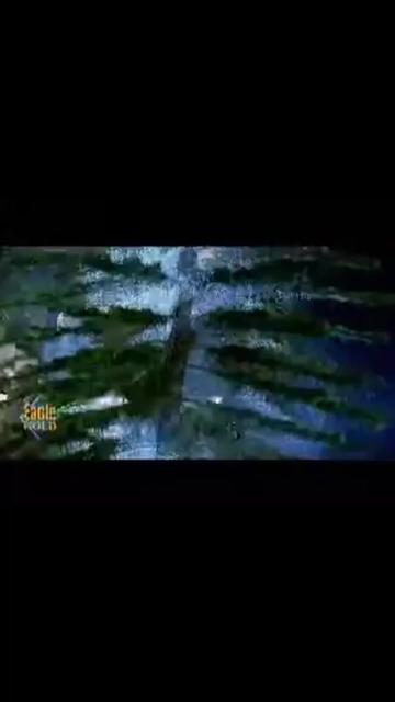 @Jhankar Songs