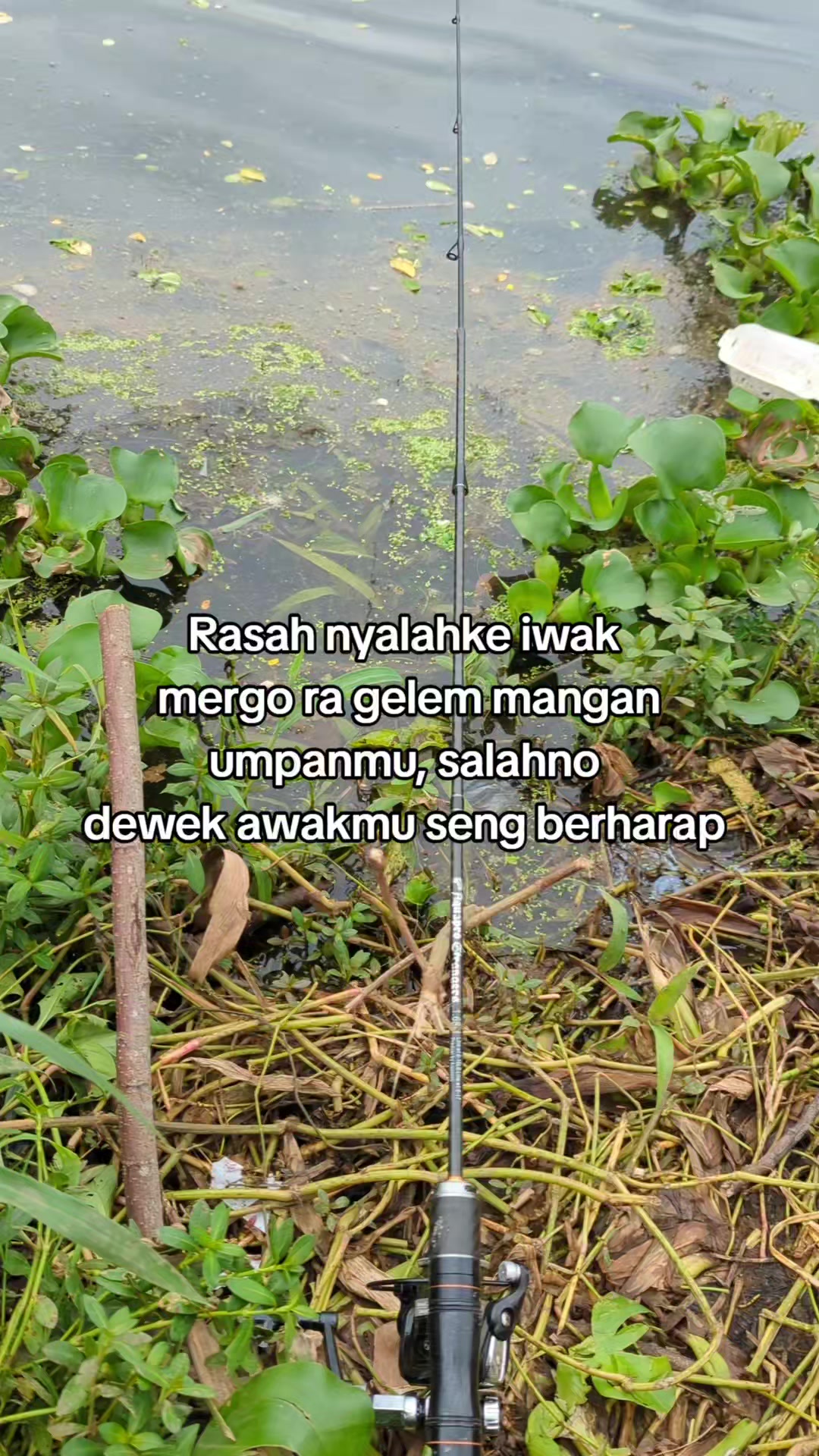 @Mancing Everyday