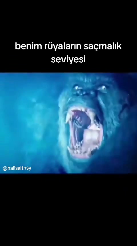 @H.A
