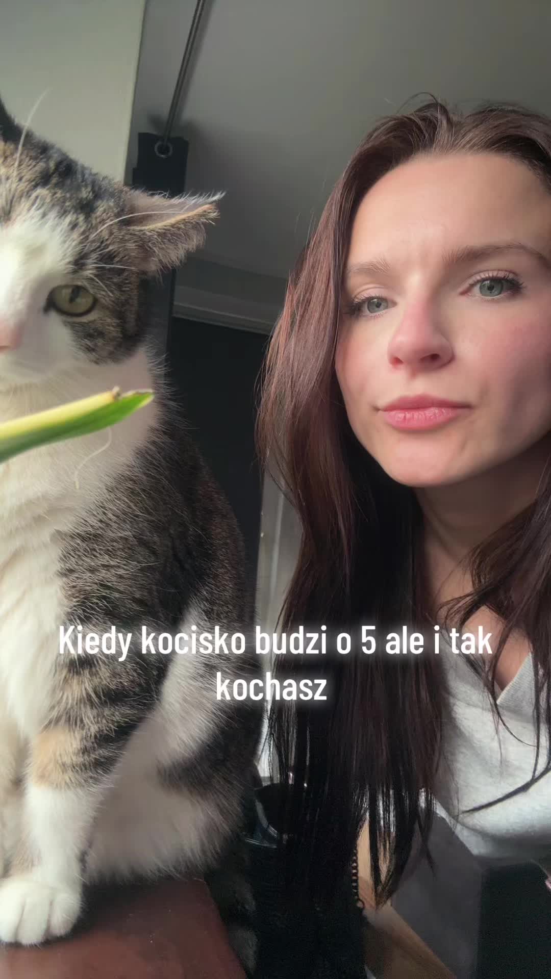 @Languskapieguska