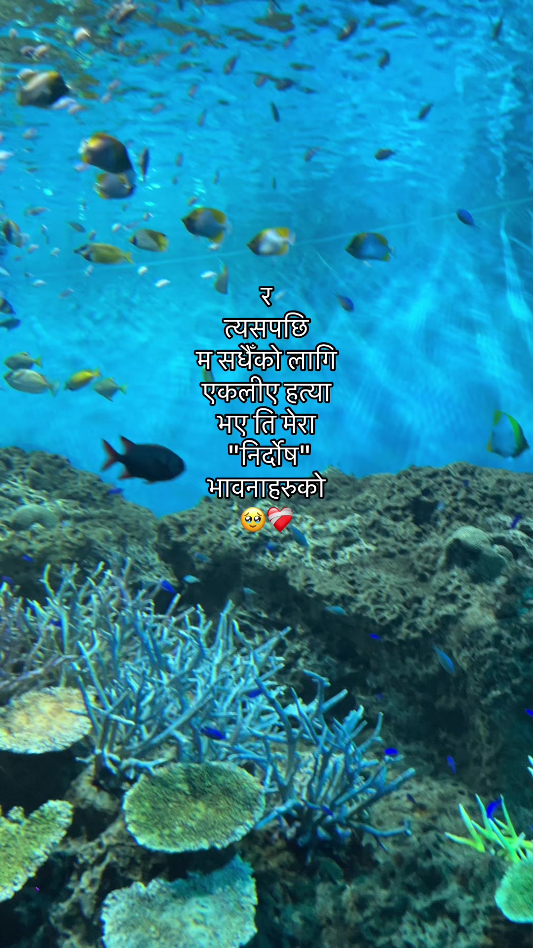 @️T