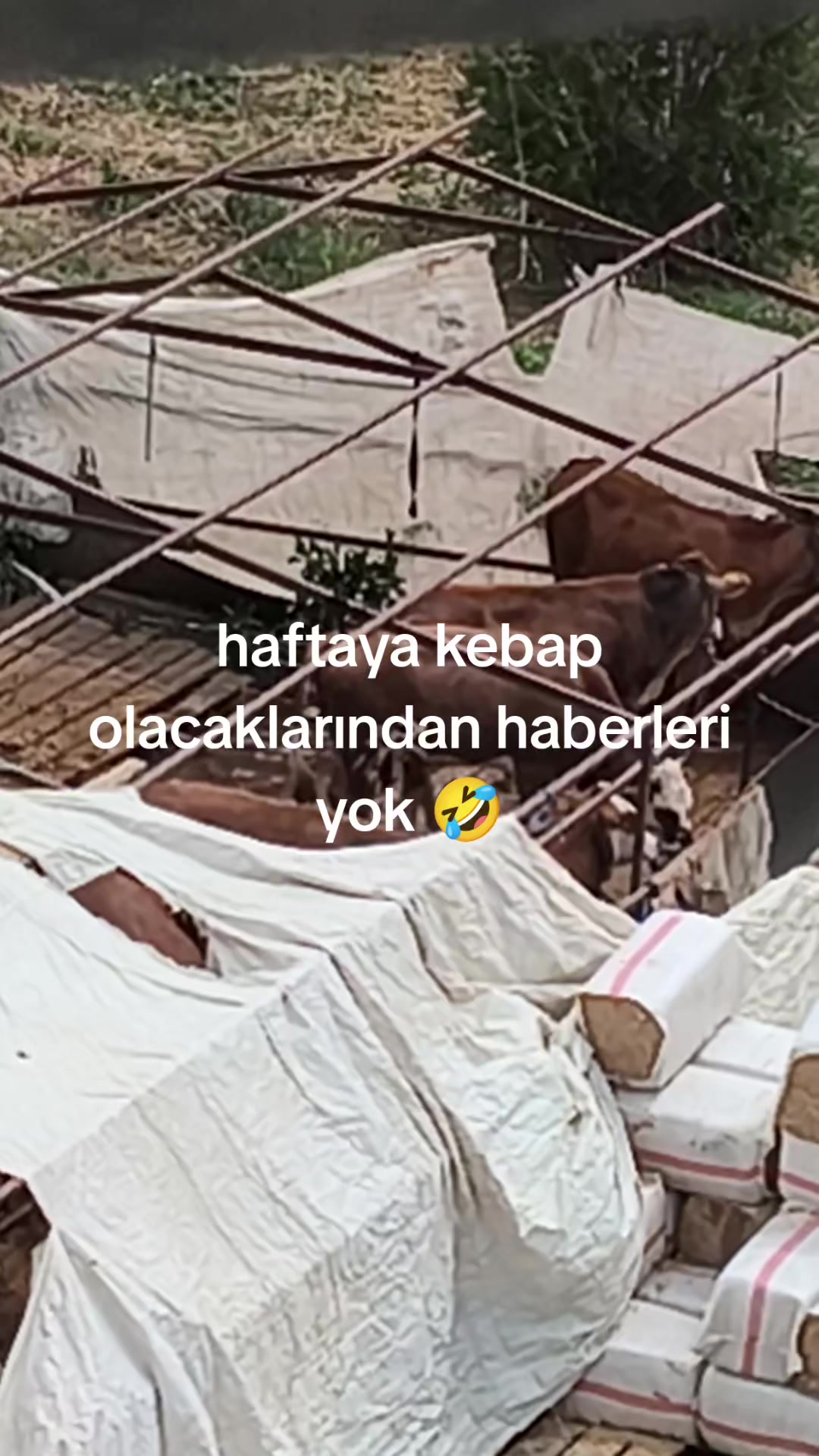 @🦅YUSUF@BİLEN🦅
