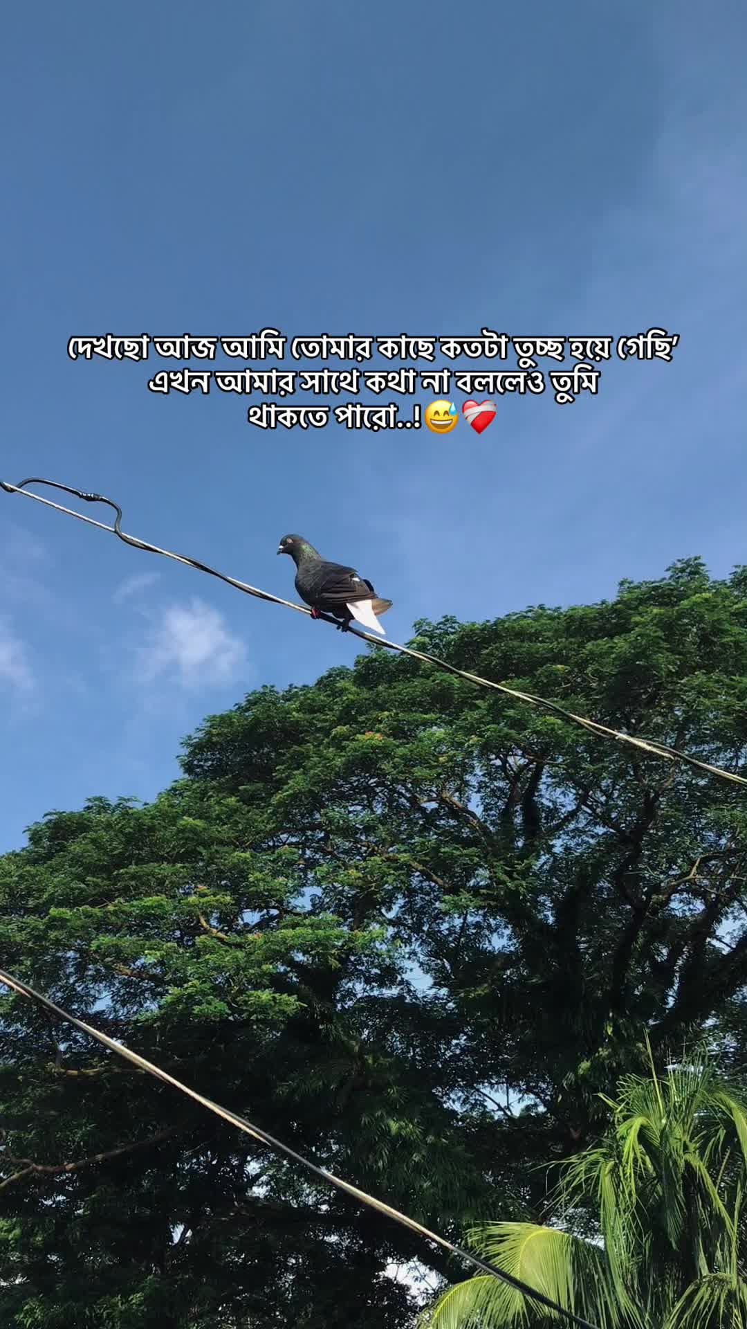 @the_spydoo🕸️ 🥏