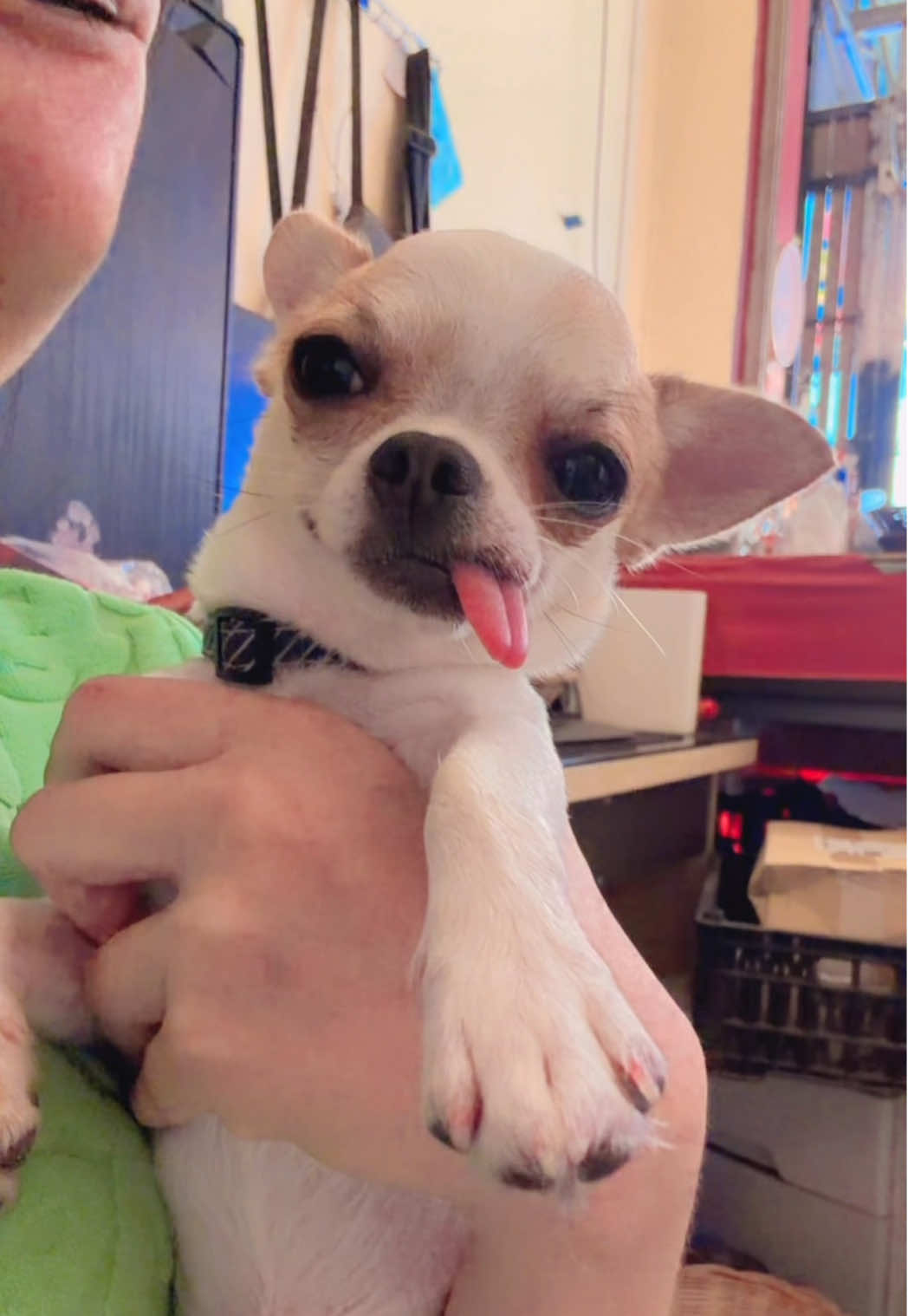 @บิ๊กบอสลูกมีน่า🐶
