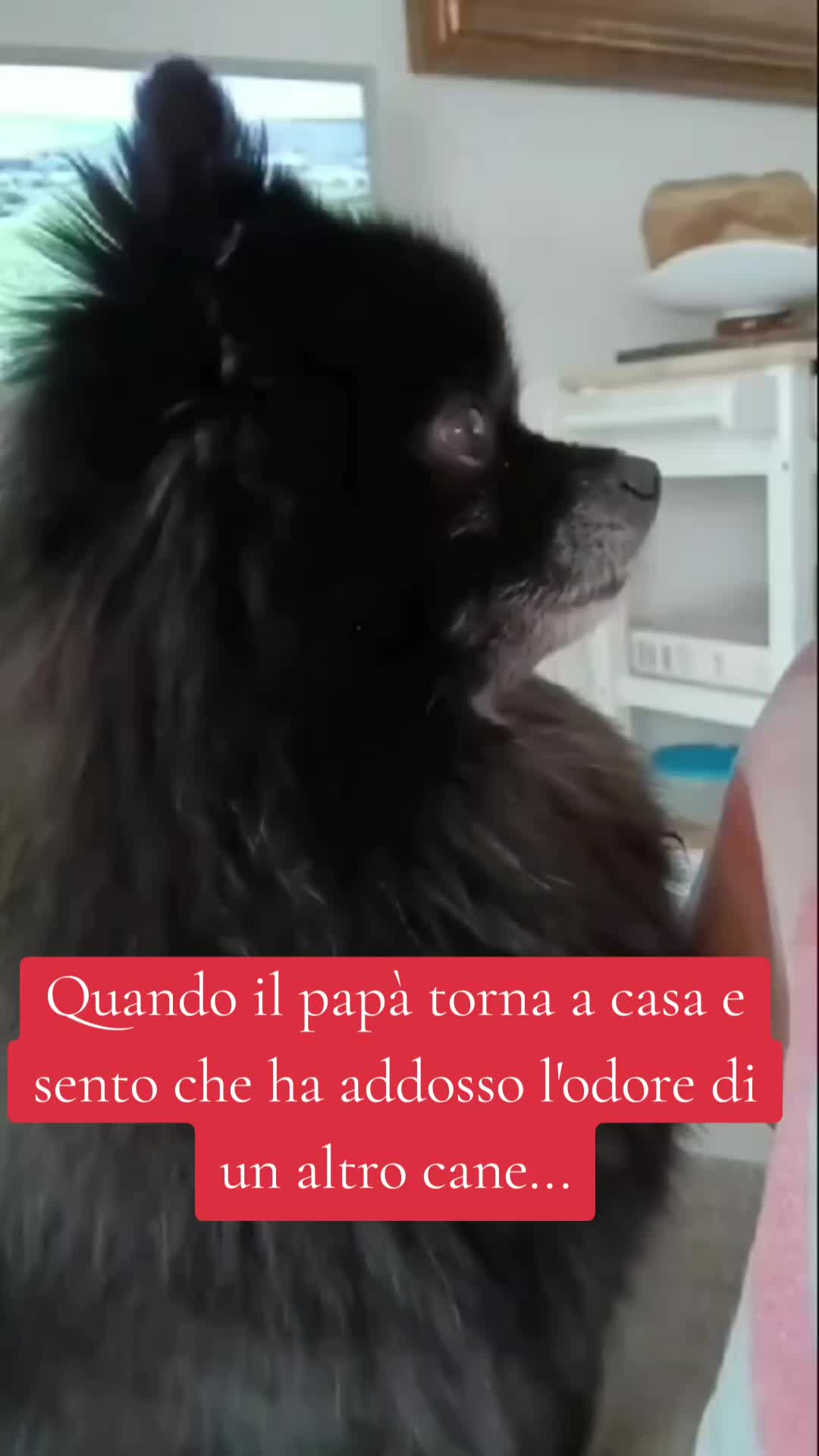 @Rita Tartaria