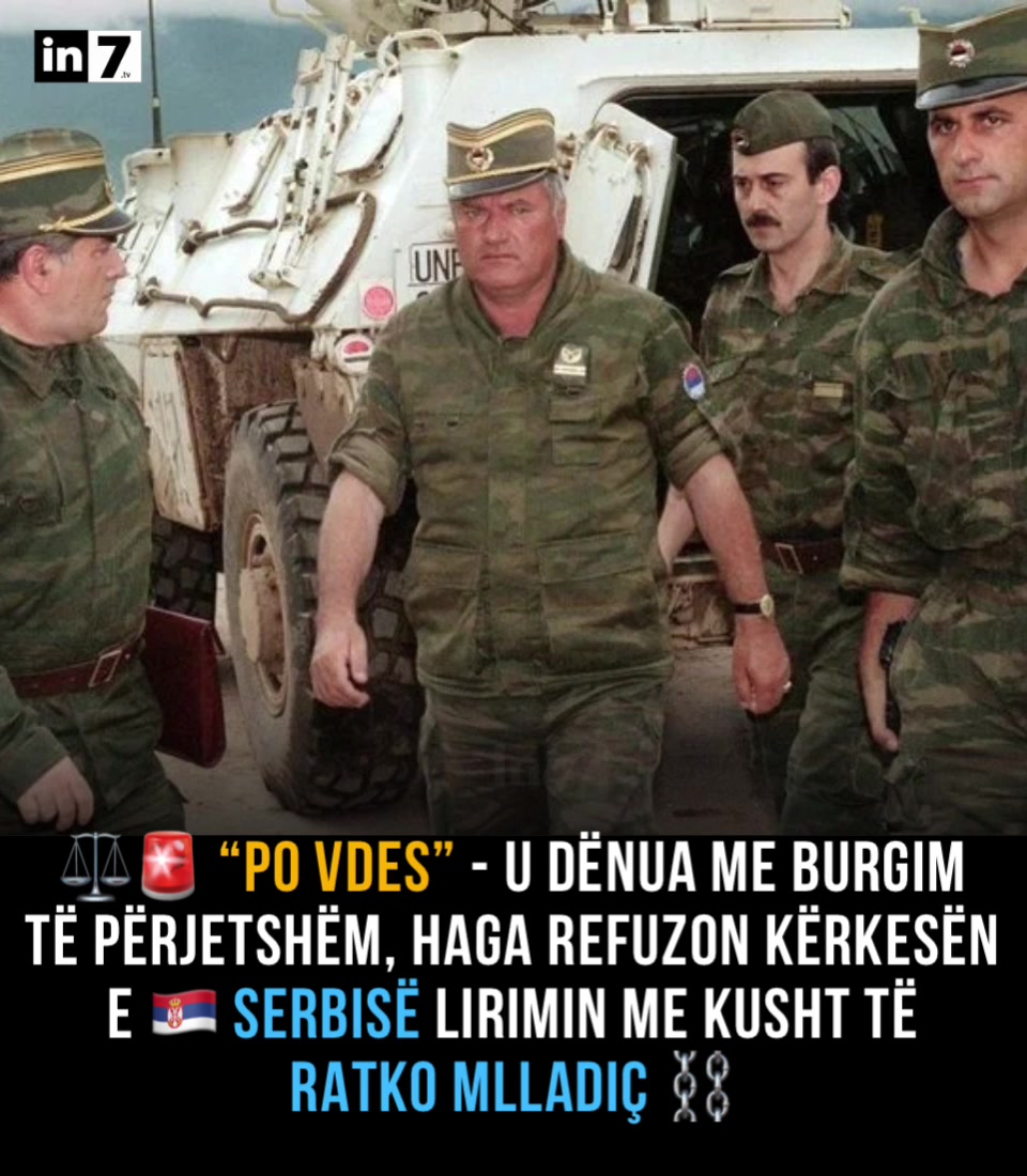 @in7.tv