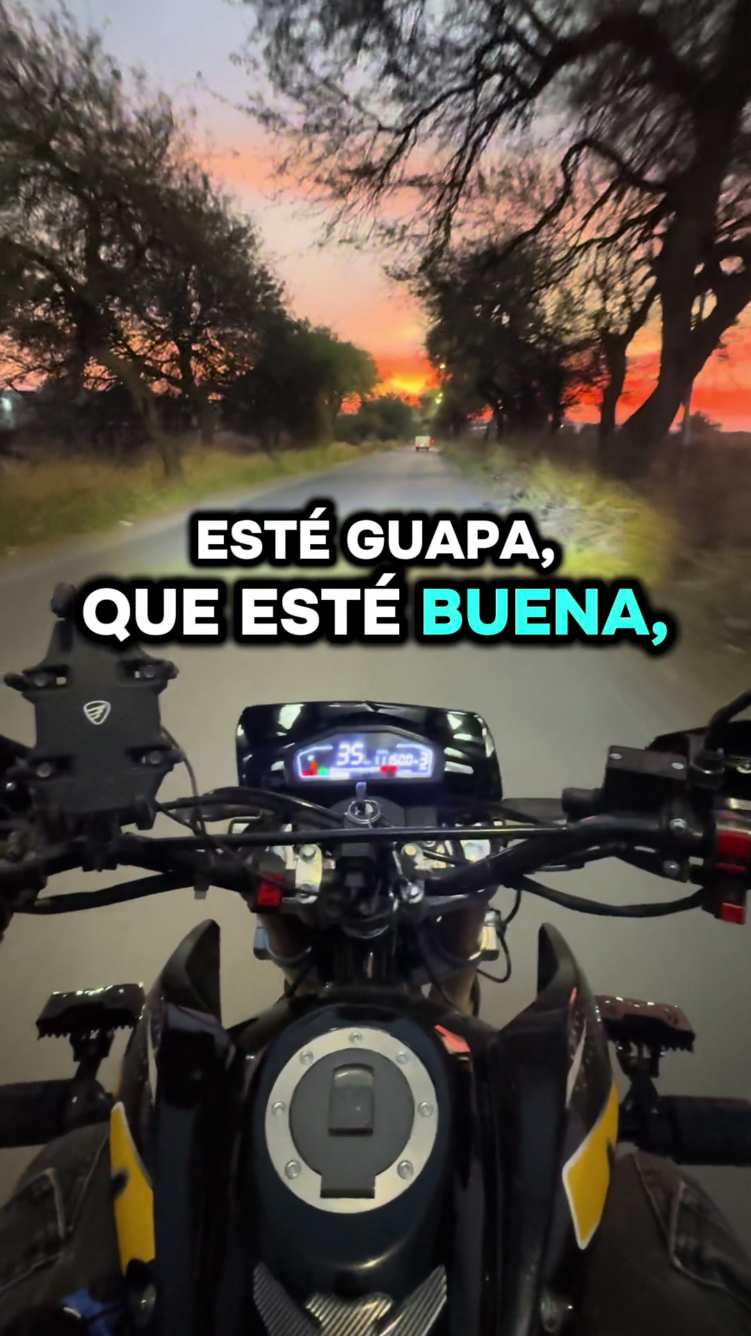 @eldelapumita