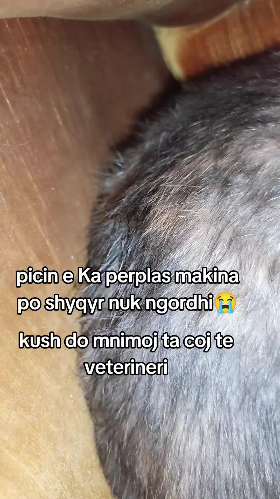 @Keberoma8