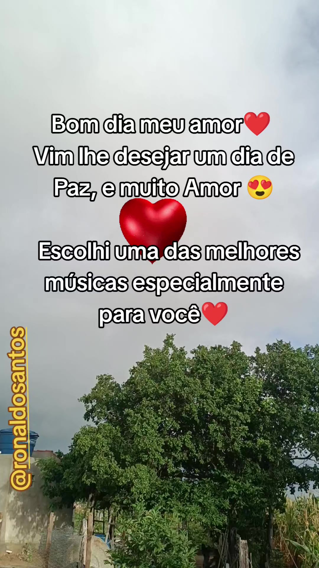 @ronaldosantos