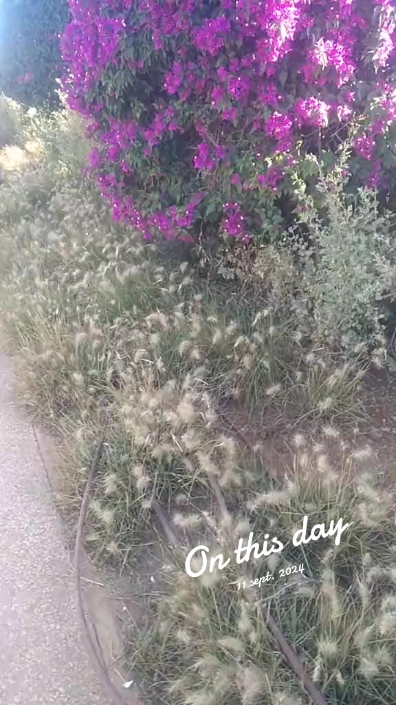 @fati vlog