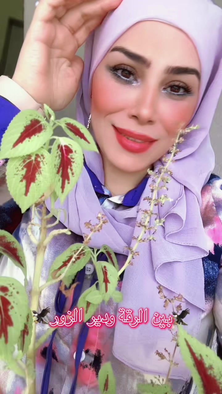 @🦅الأسطورة الحرة🦅