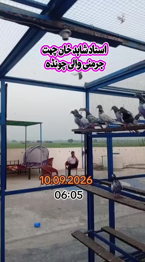 @🇩🇪 چھت جرمنی والی چونڈہ 🇵🇰