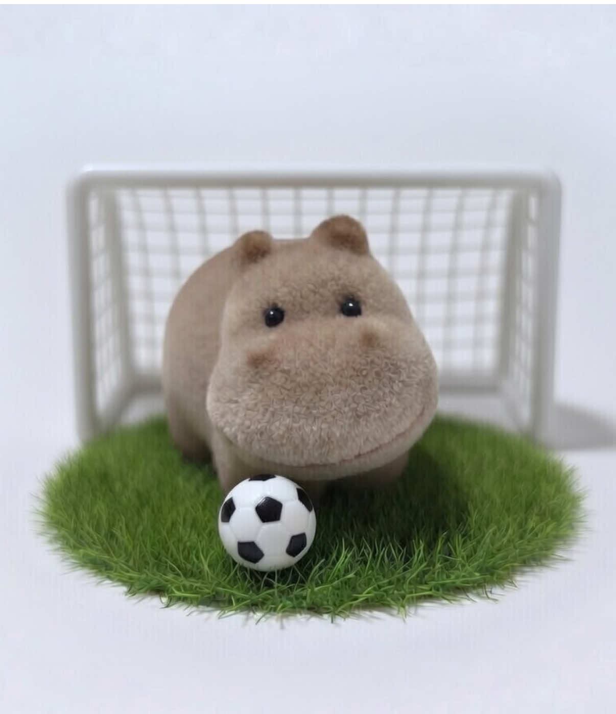 @Baby Hippo
