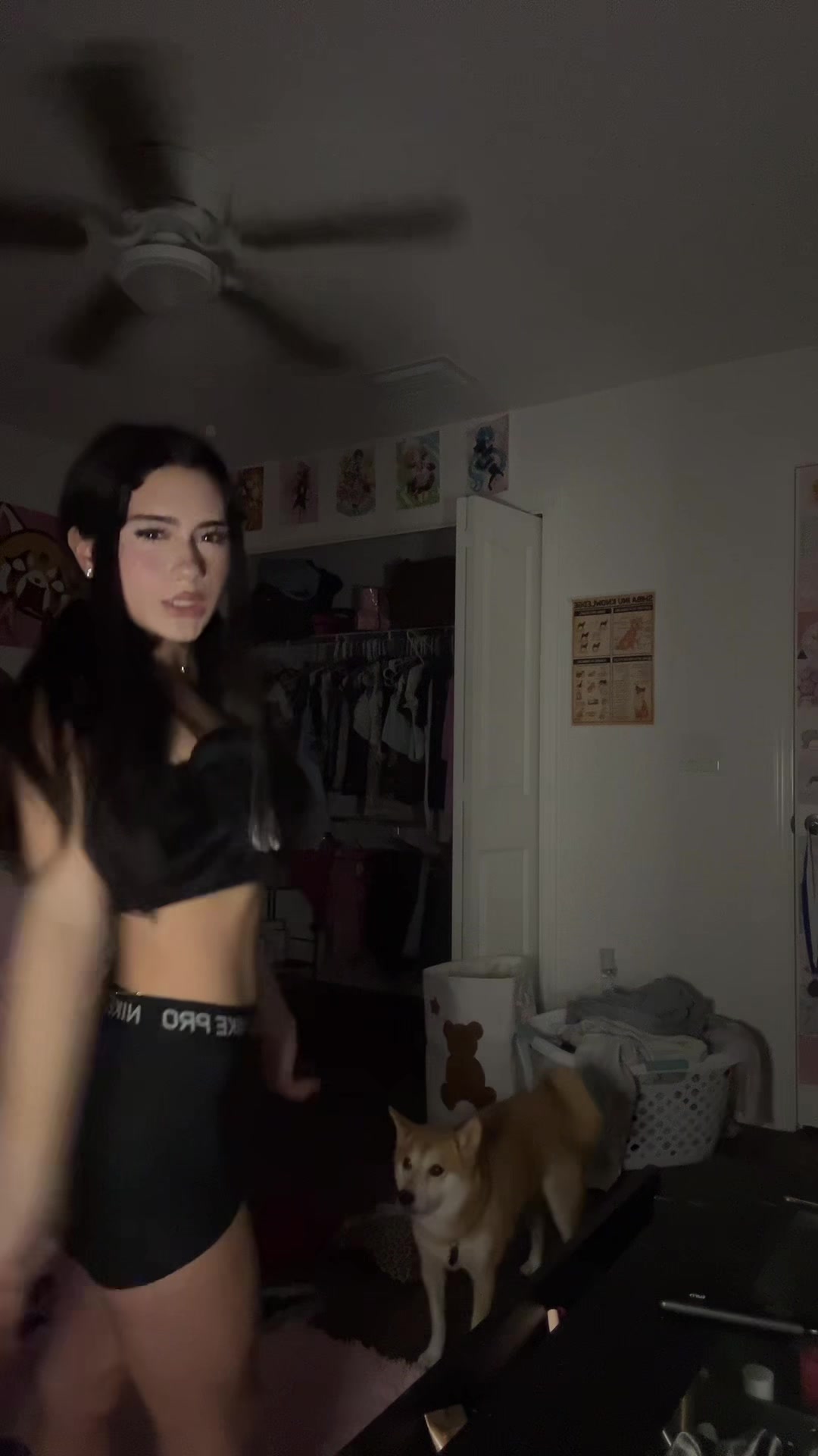 @roseydase