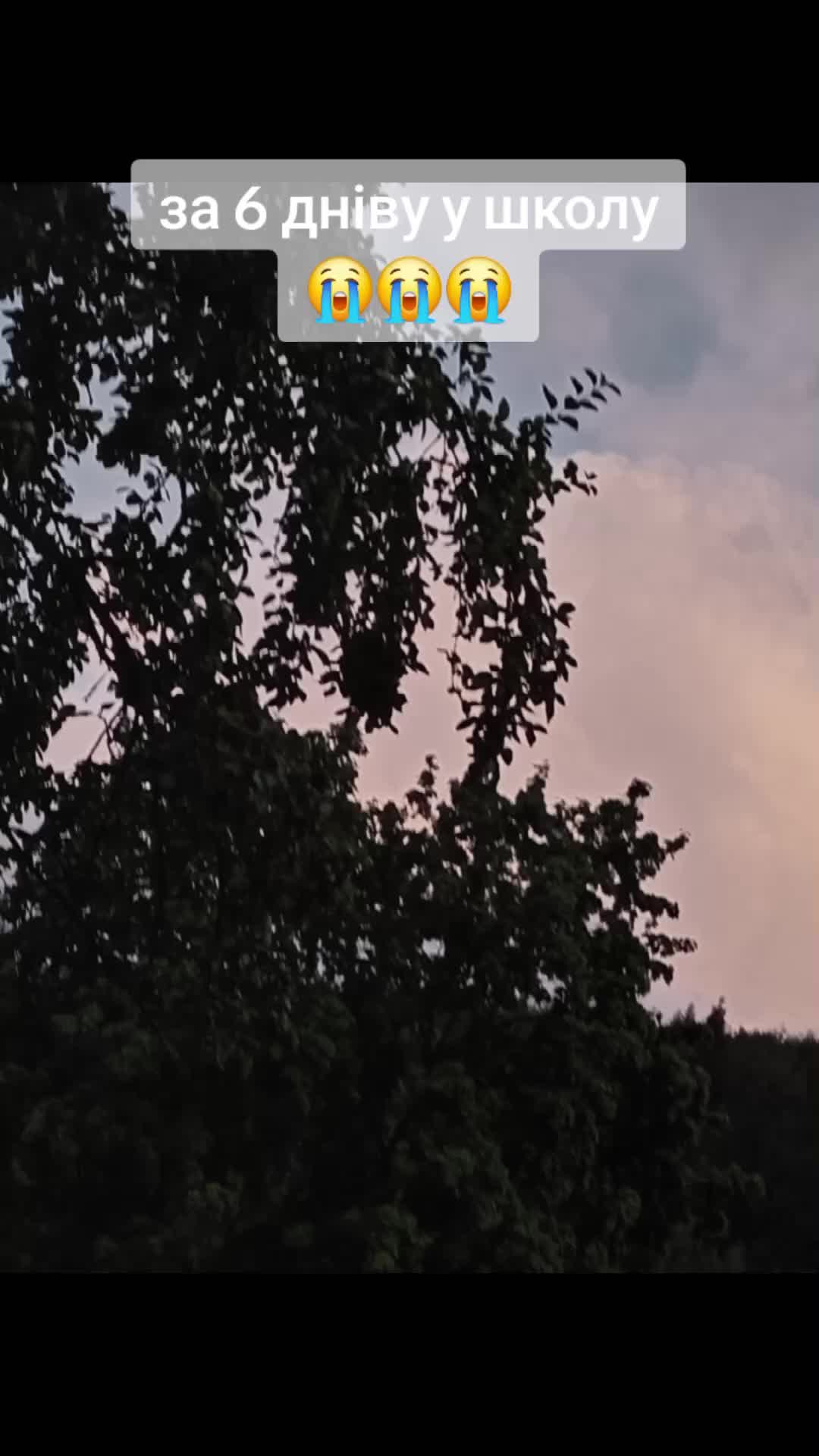 @Евеліна 🤙