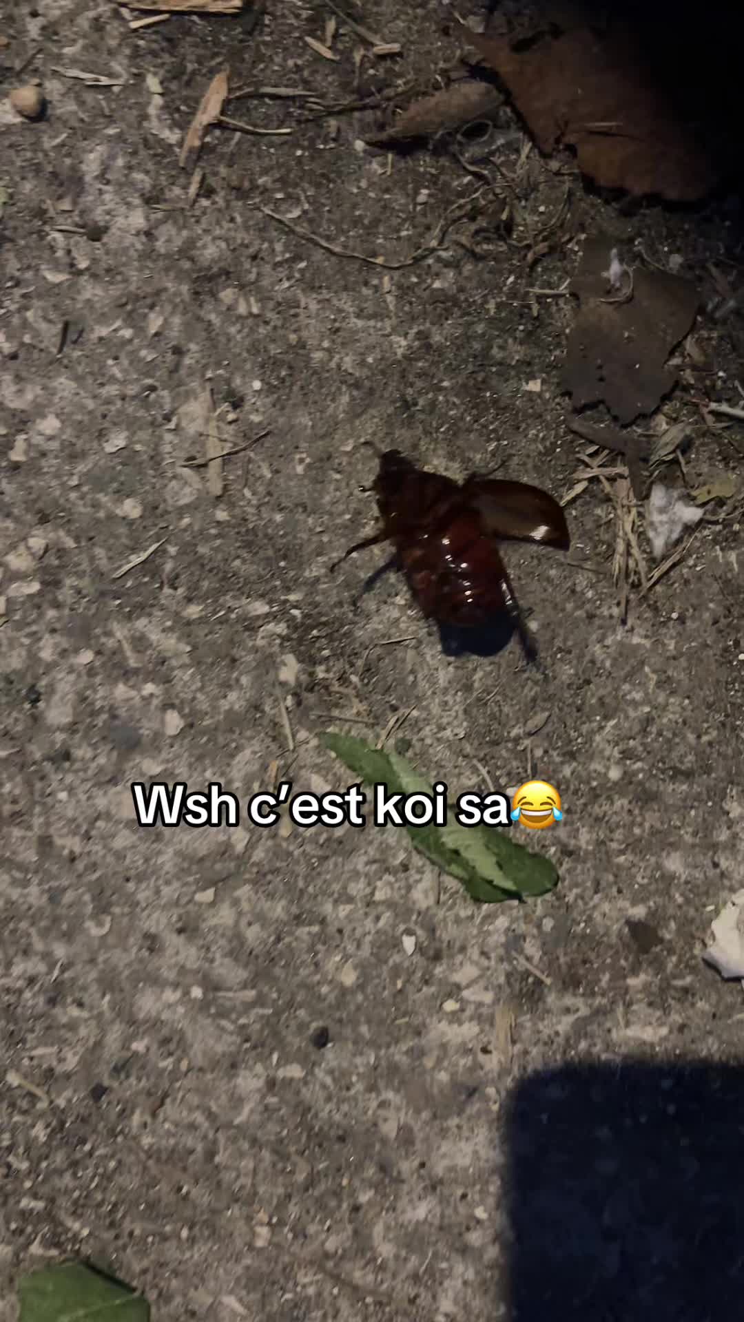 @Zak4keus🇸🇳🇸🇳🇸🇳