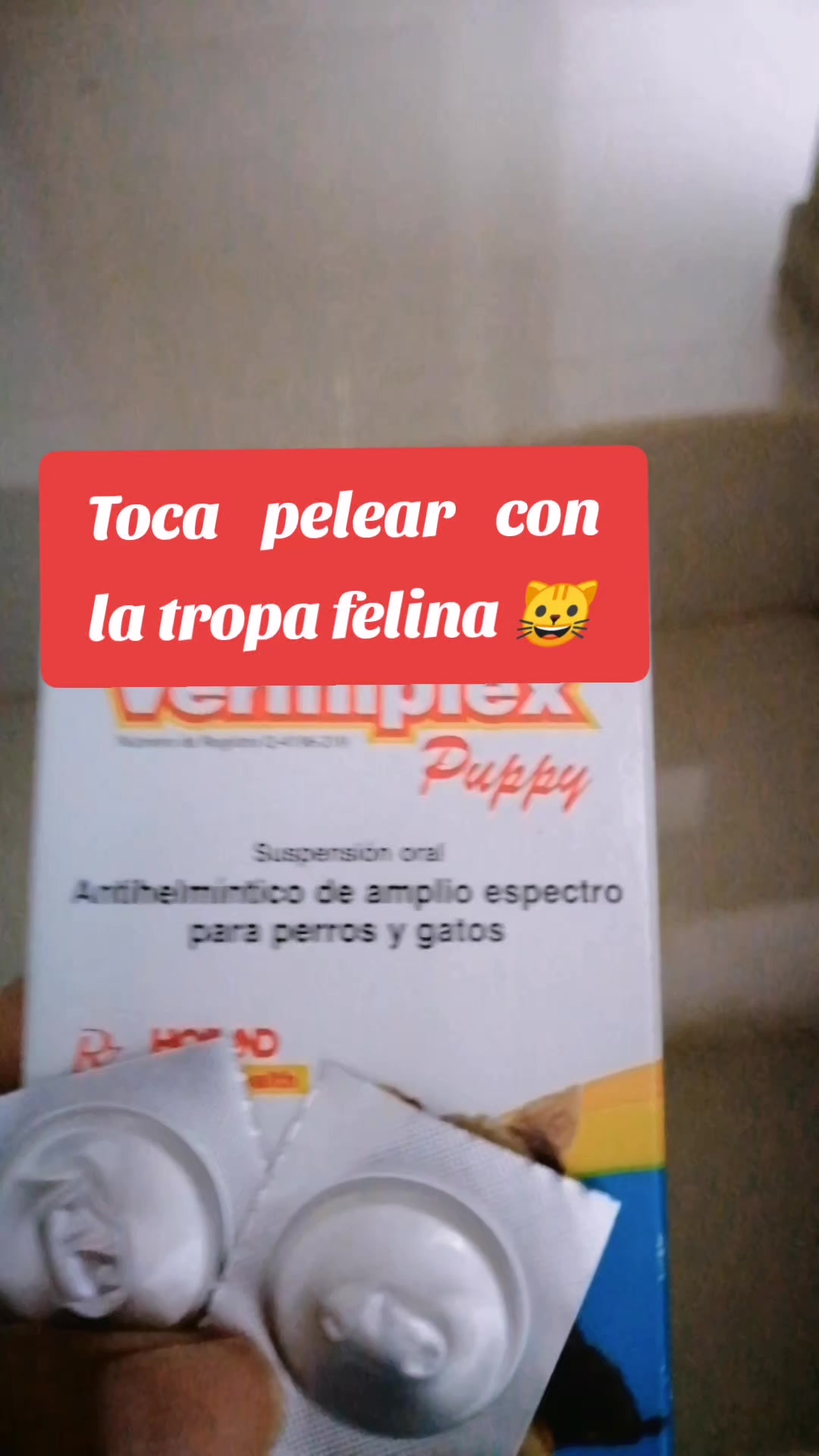 @Liliana Linares