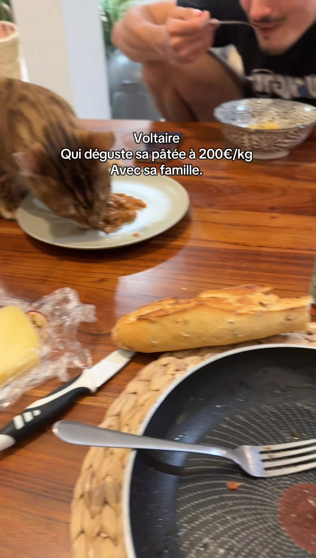 @voltaireleroi