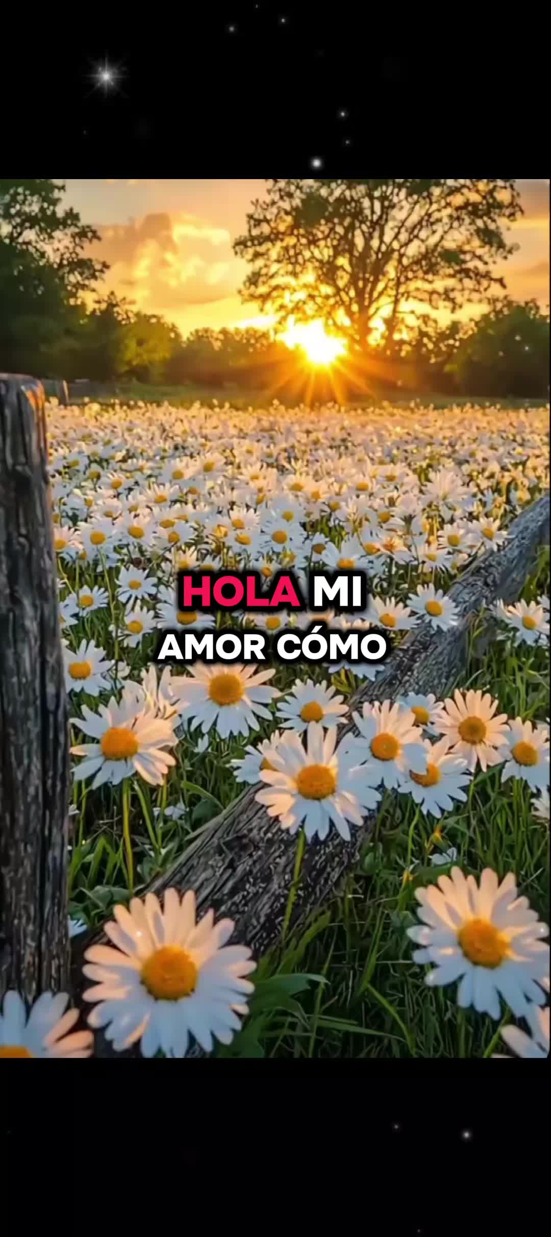 @Lavya