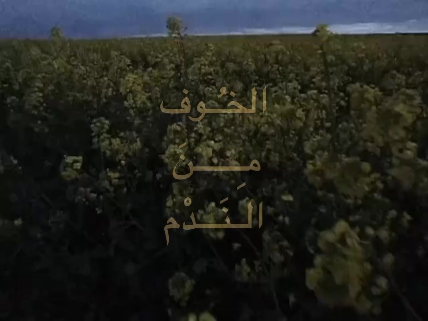 @معرفش