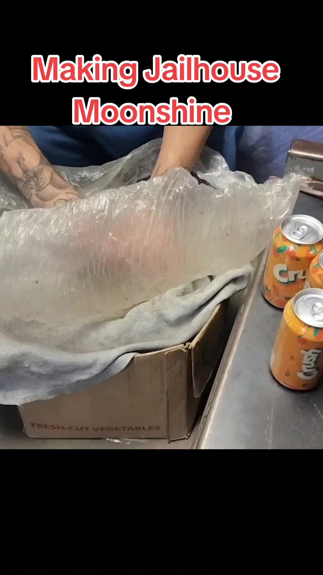 @jailbirdconnection