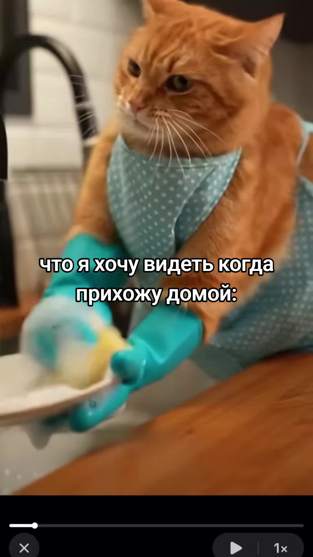 @💋𝒩𝒾𝓀𝓀𝒾💋