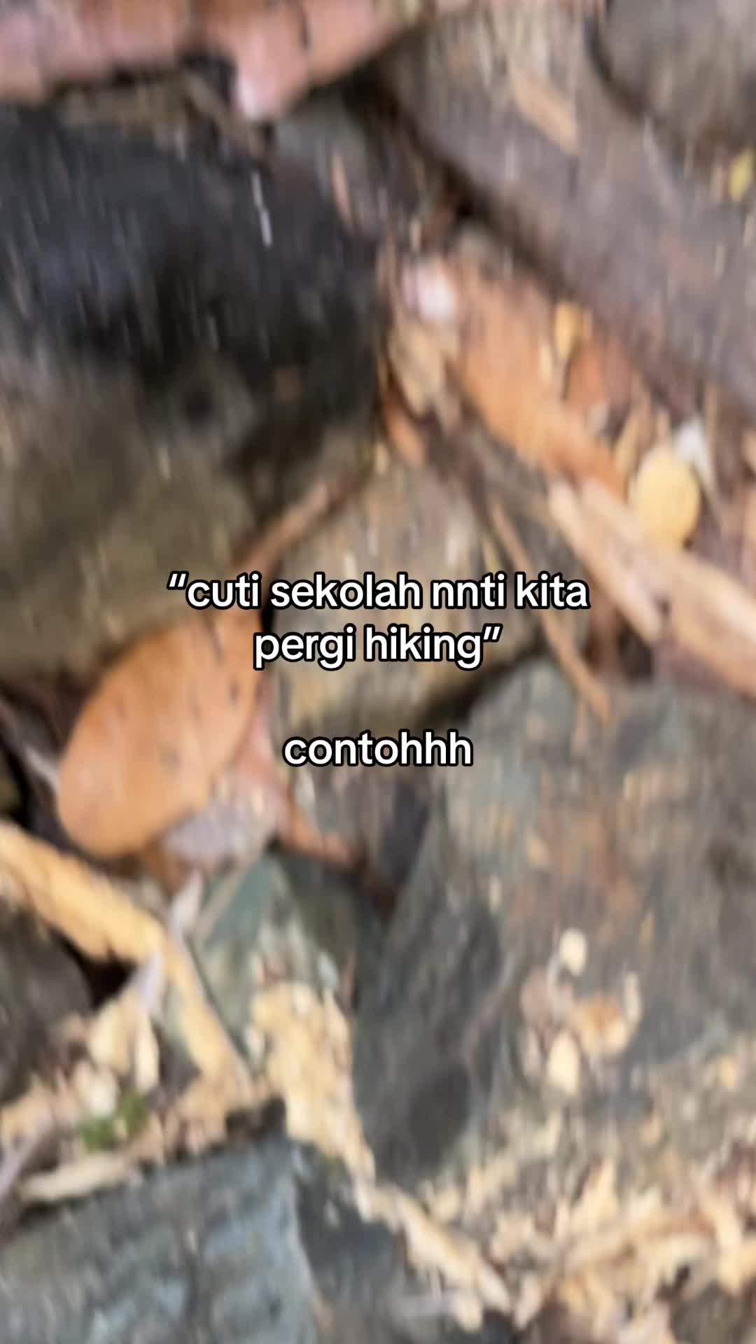 @fyrrel