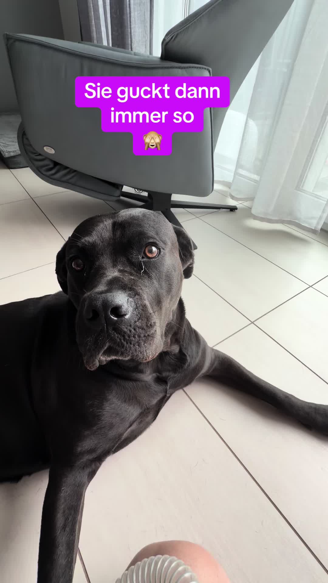 @Braunici