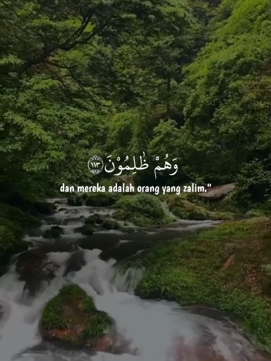 @Farida Far
