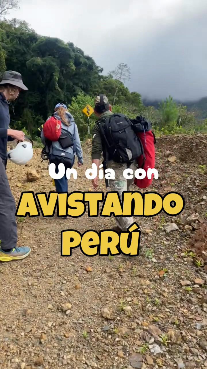 @Avistando Peru