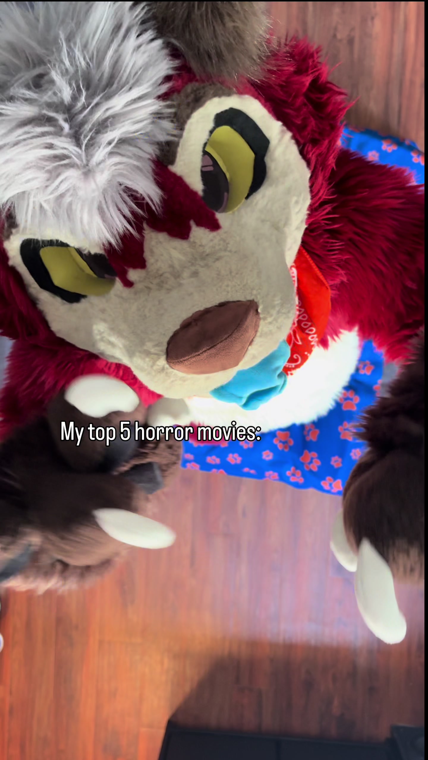 @Fry The Dumb Fox (Official)