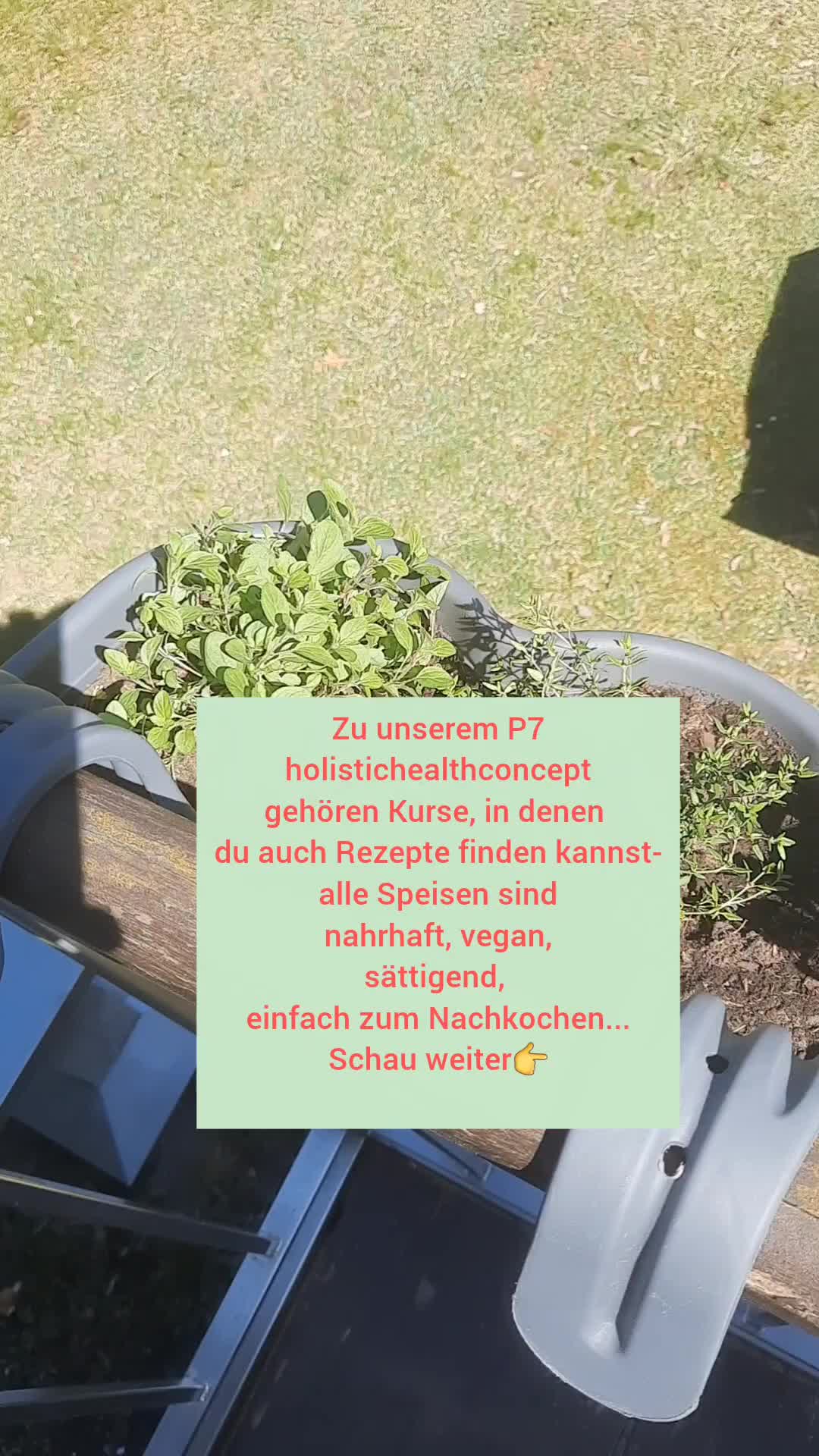 @healthylife_borjana