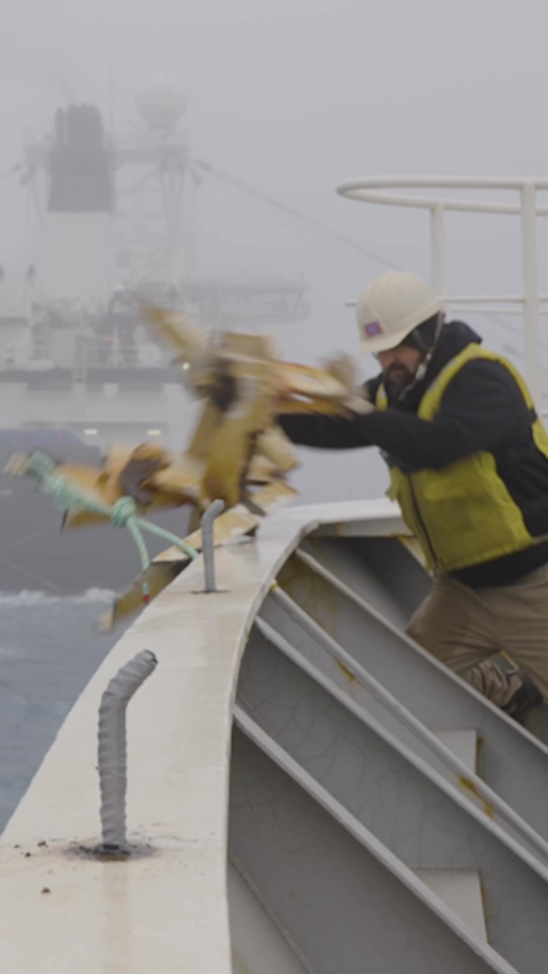@Captain Paul Watson Foundation