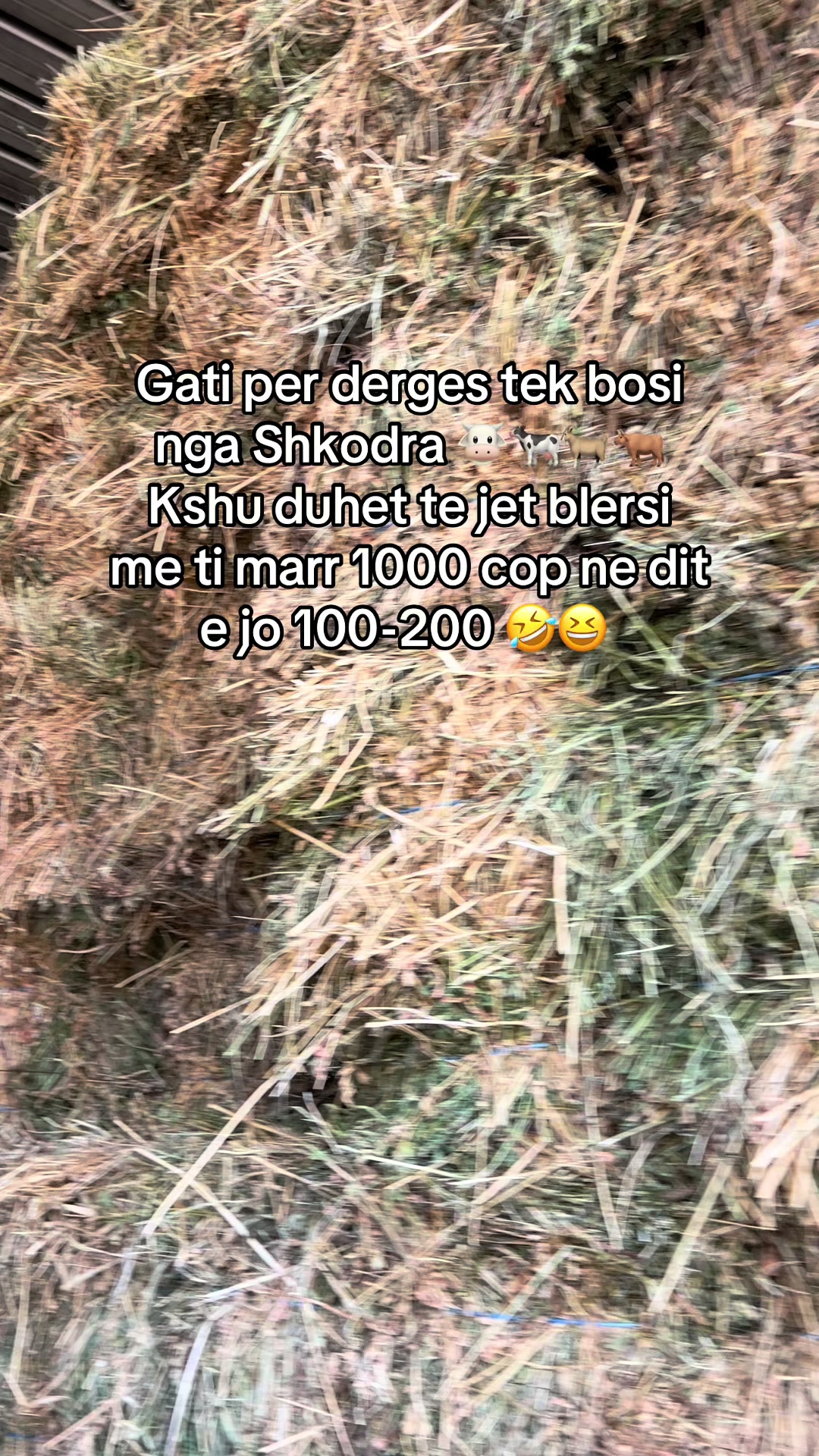 @AgroTradeAlbania