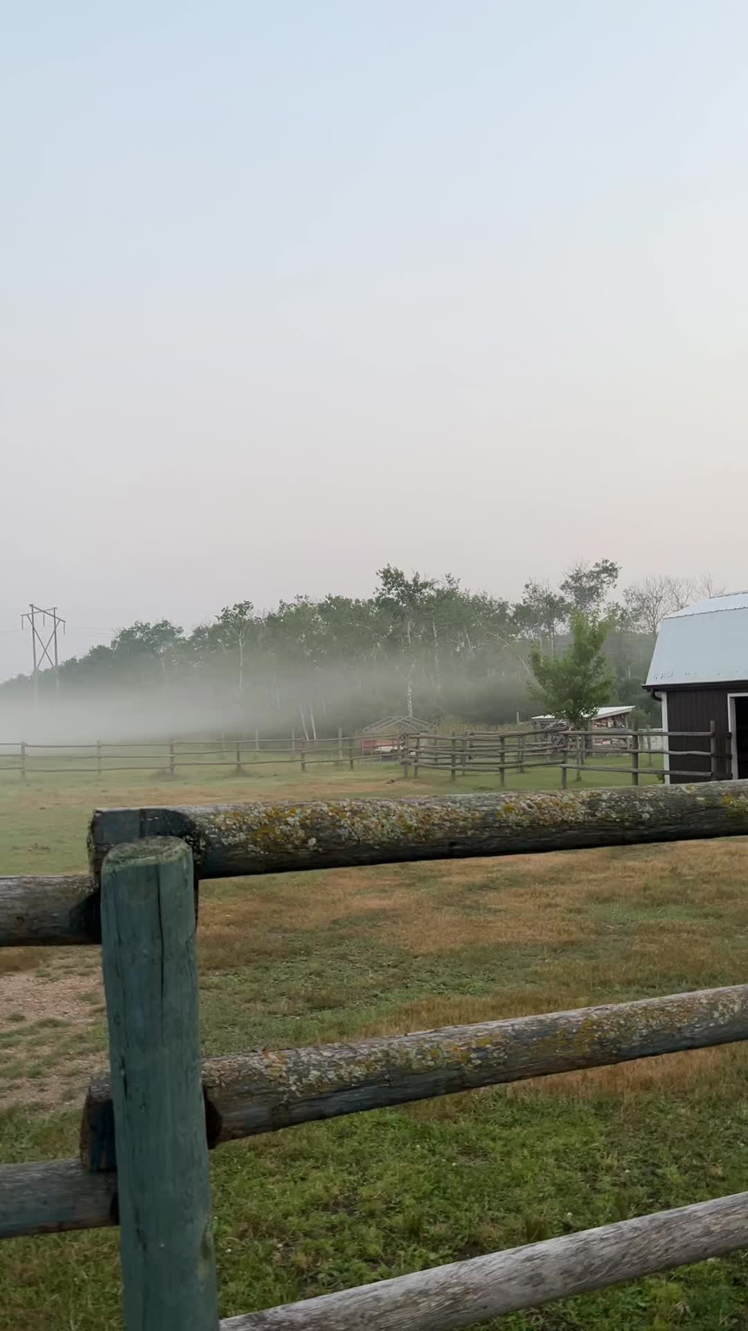 @The Fisher Farm 🇨🇦