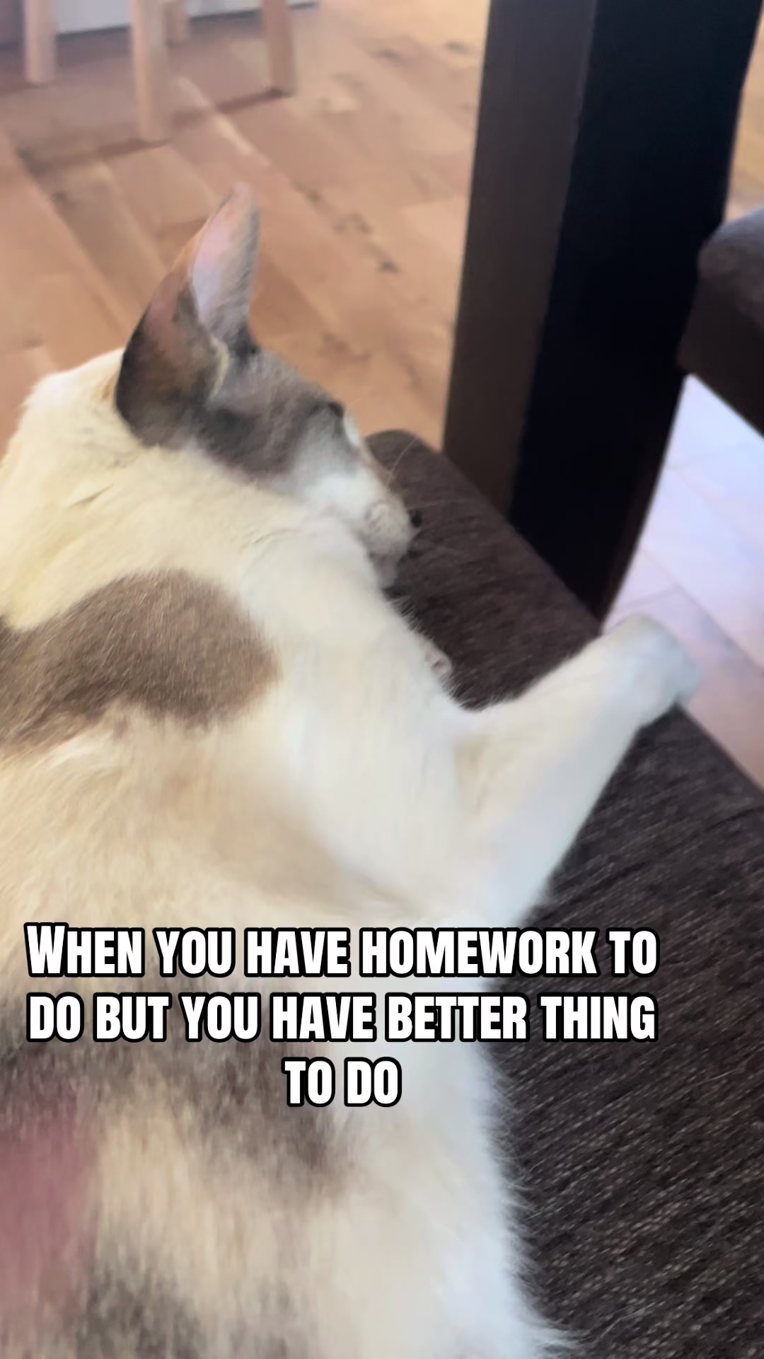 @Everytis