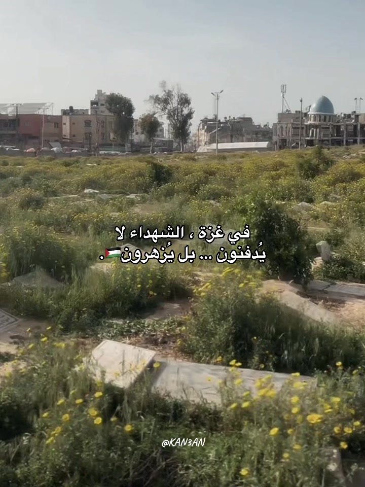 @كنعان 🇵🇸.