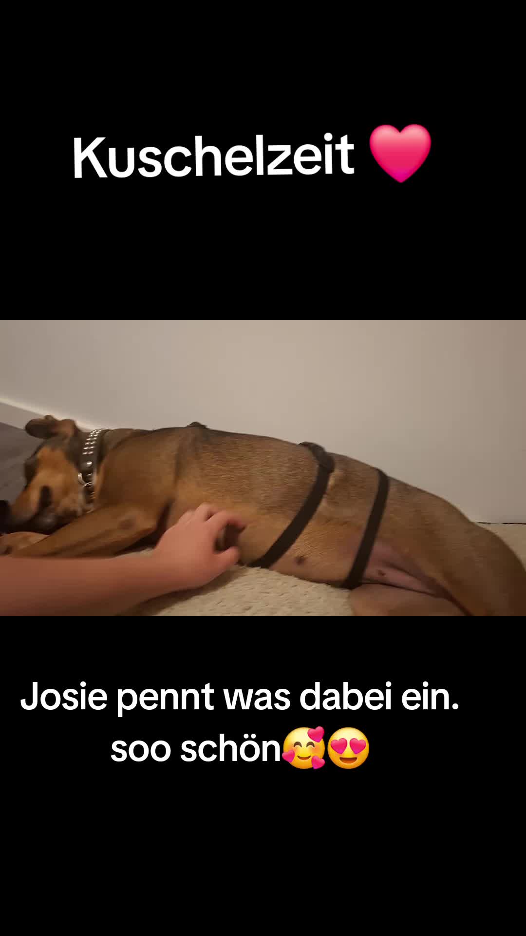 @Anja