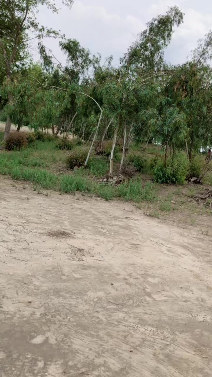 @حسناتی ملگرا &hellip;&hellip;..🥷🏼