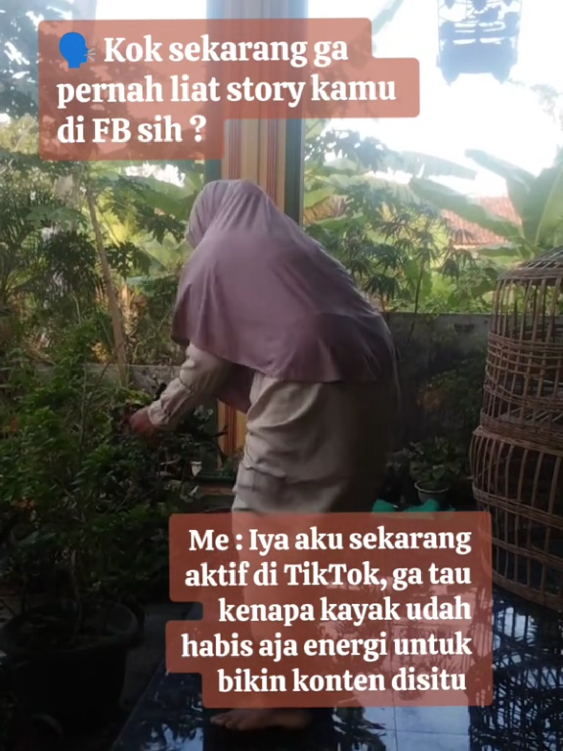 @Anita OlShop
