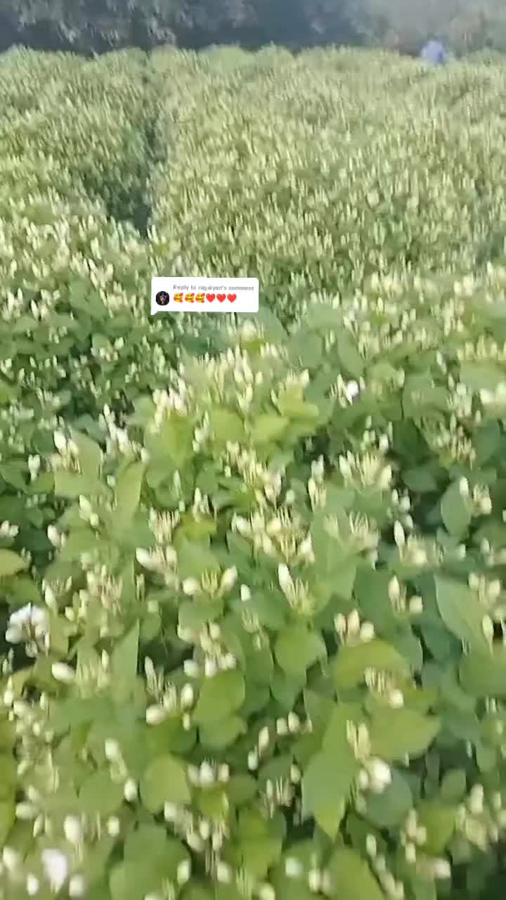 @பேப்பர் ஐடி    248 🌹1