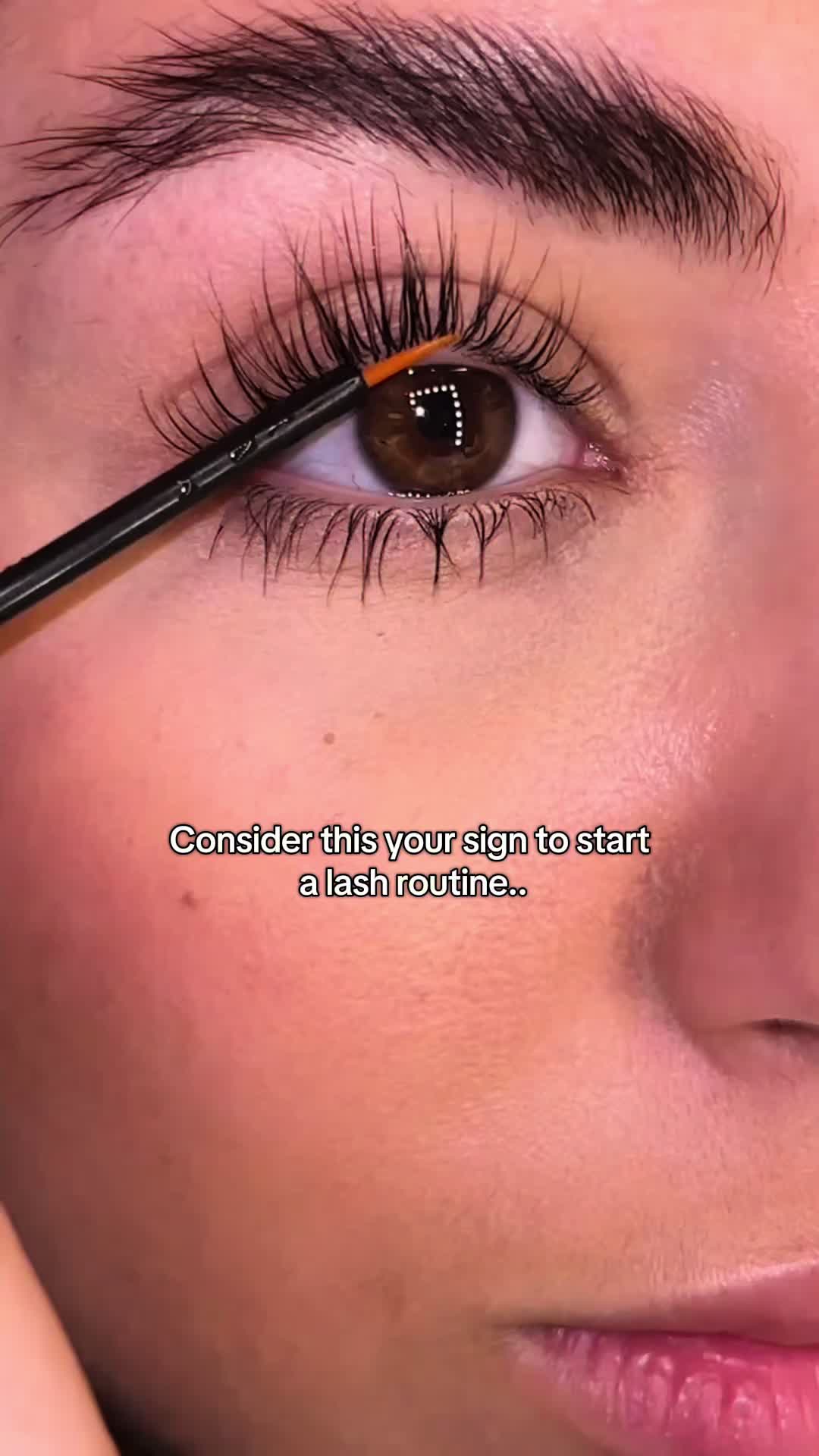 @Lash by Maya