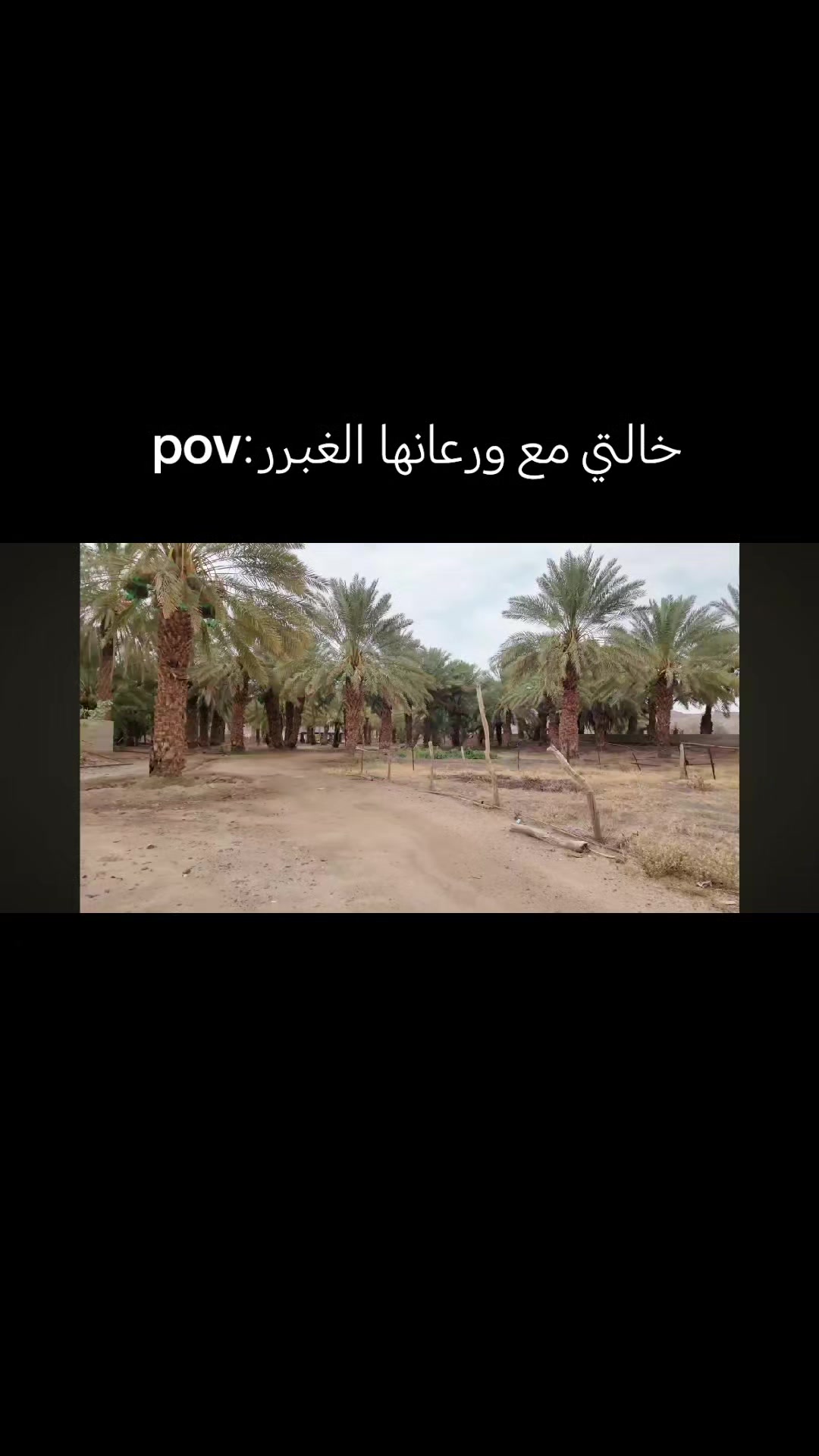 @FOFA|🇸🇦