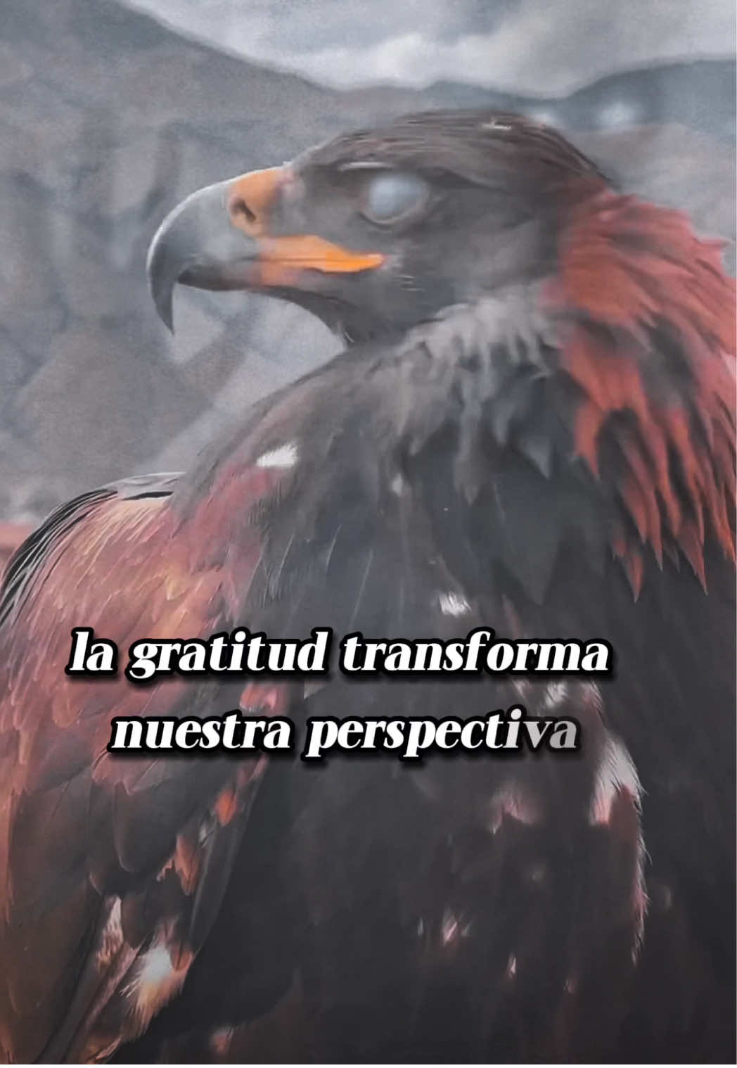 @LlamadoAlSer💫