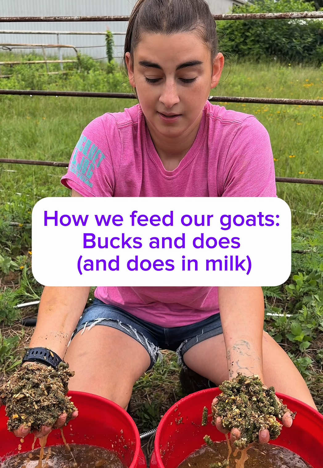 @Heart & Hoof Homestead