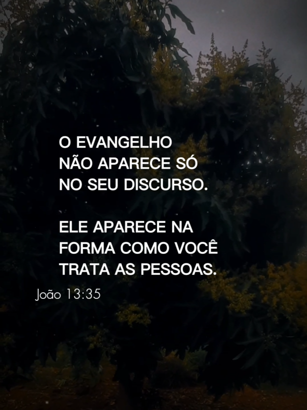 @Isaac Lopes